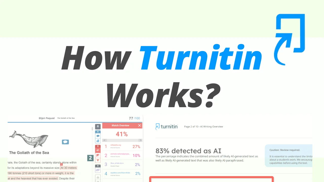 comment fonctionne Turnitin premier écran