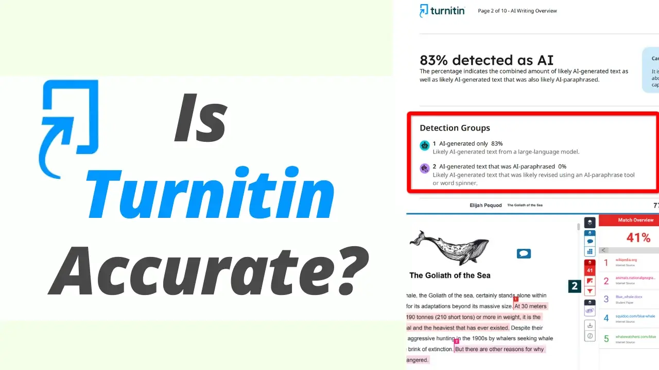L'écran initial de précision de Turnitin L'écran initial de précision de Turnitin