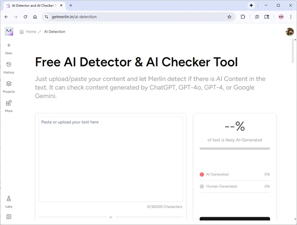 Homepage des Merlin AI Detectors