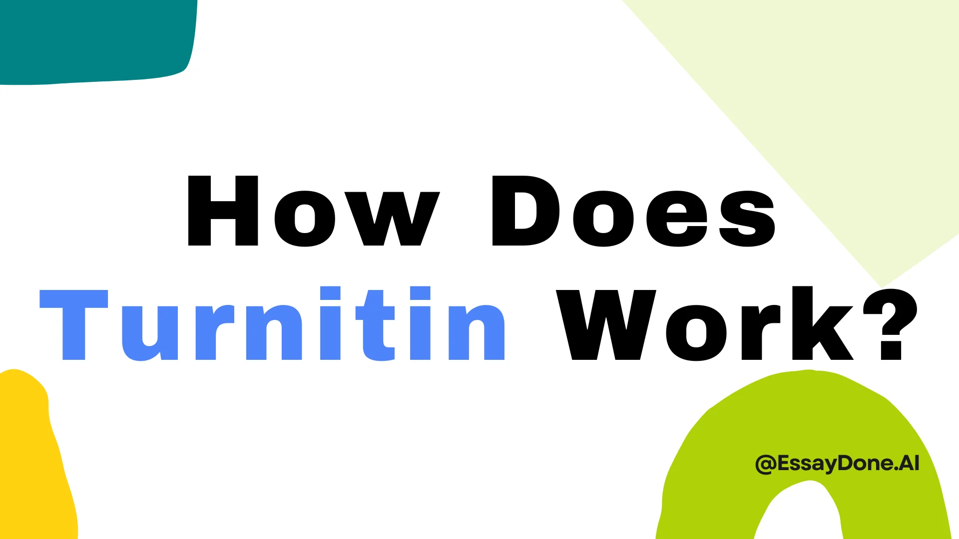 Come Funziona Turnitin Prima Schermata