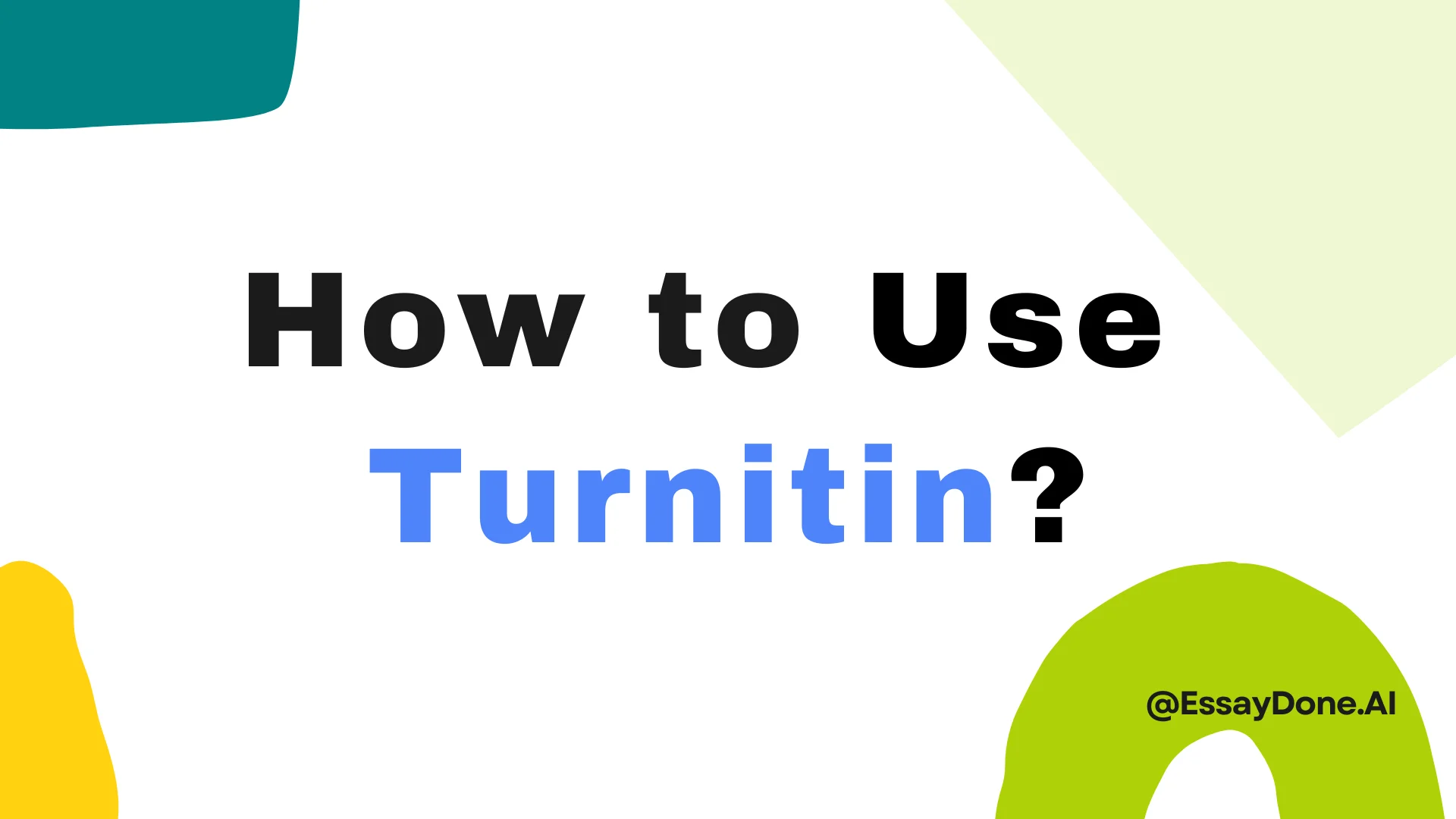 How to Use Turnitin First Screen