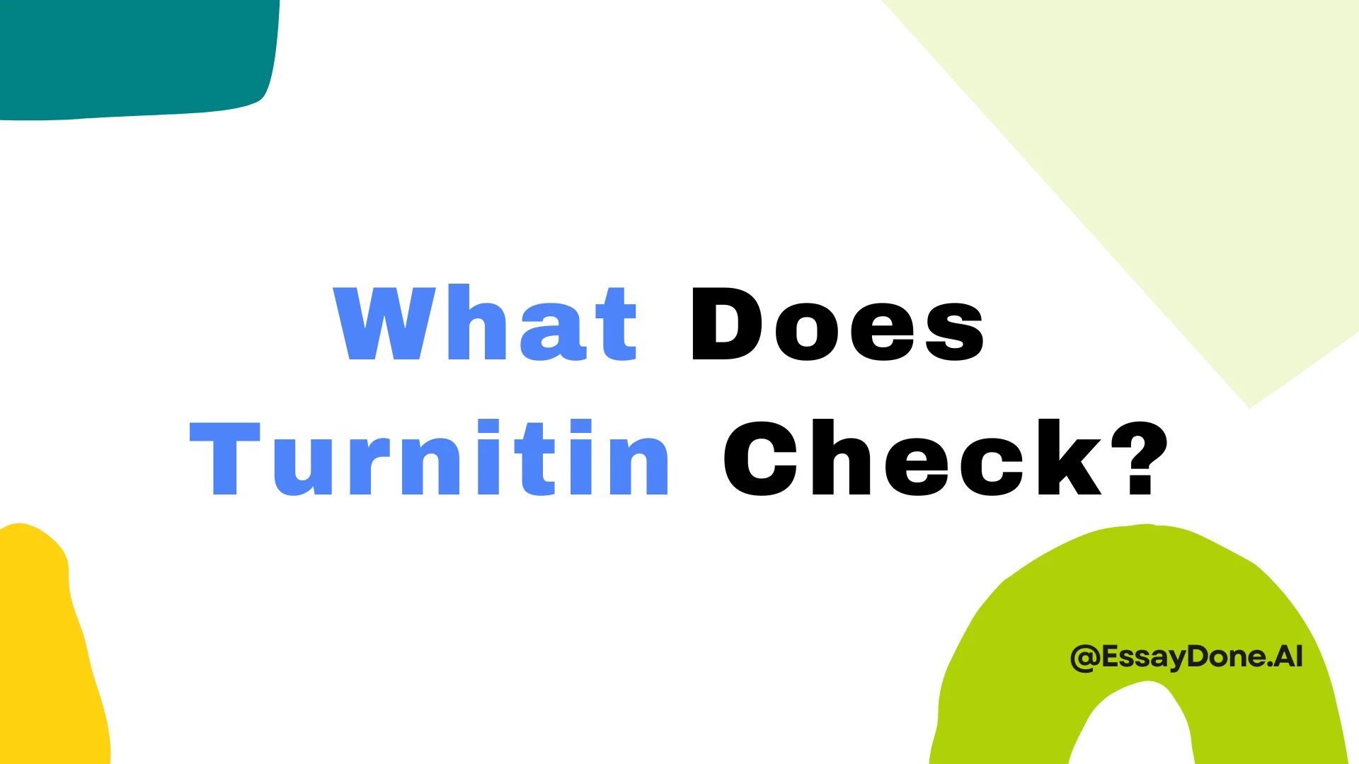 What Does Turnitin Check First Screen