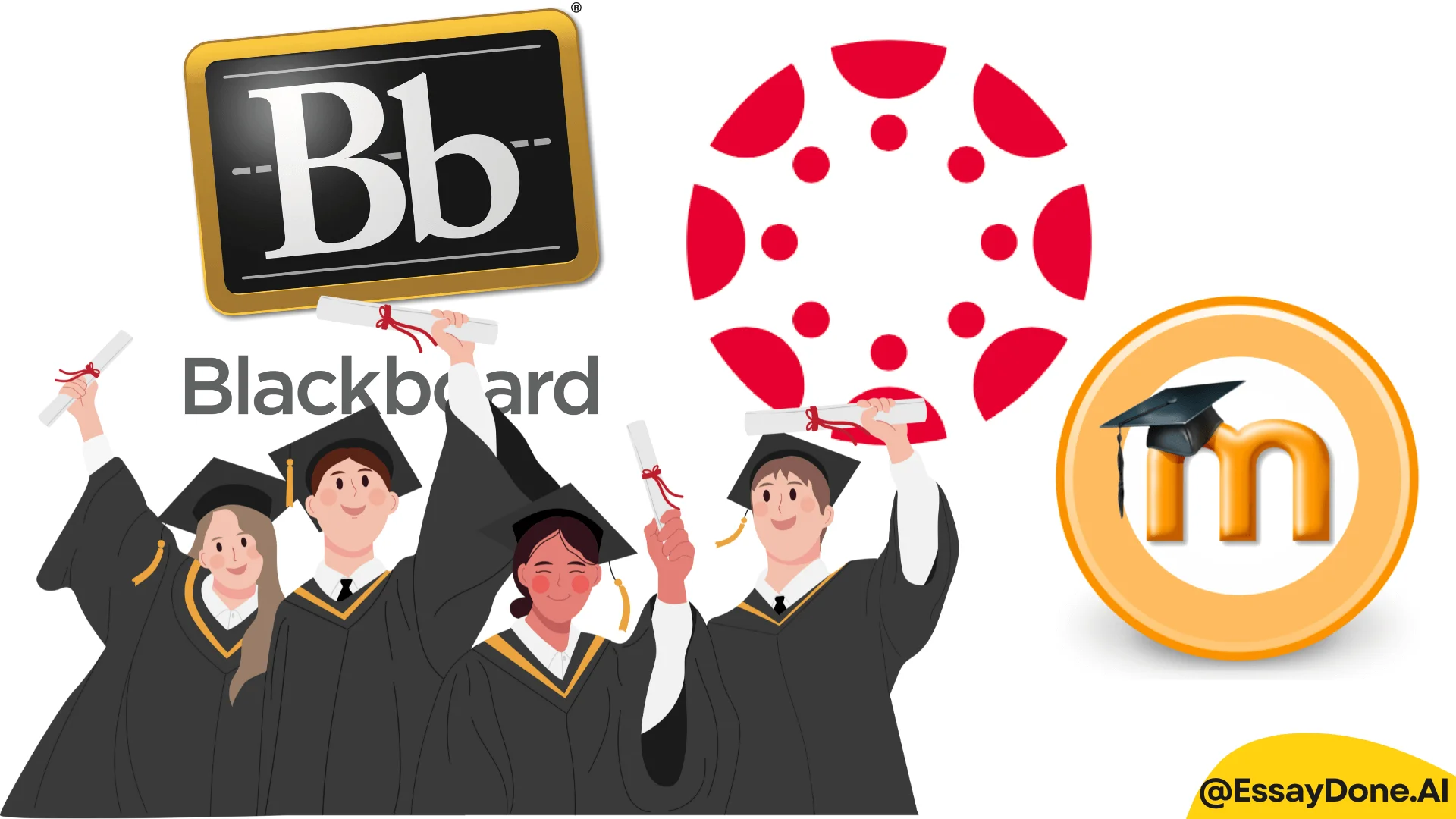 Learning management systems icon