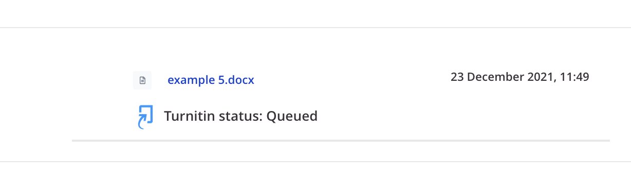 Turnitin Queued 
